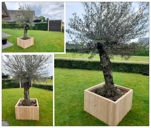 Bloembak, plantenbak, moestuinbak, kas NIEUW op maat., Tuin en Terras, Bloembakken en Plantenbakken, Nieuw, Hout, Minder dan 60 cm