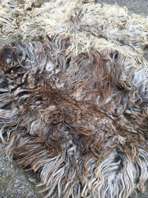 Viltvachten wol voor vachtvilten & spinwol bio schapenvacht, Huis en Inrichting, Woonaccessoires | Plaids en Woondekens, Nieuw