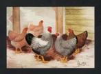 Pluimvee Kippen Wyandotte Gezoomd Boerderij, Van Gink., Ophalen of Verzenden, 1980 tot heden, Ongelopen, Vogel
