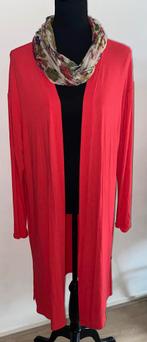 Prachtig vest van NORAH..mt:44, B, Maat 42/44 (L), Ophalen of Verzenden, C