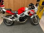 Suzuki Tour “Lucky Strike” 600 Motorfiets, Bedrijf, Overig