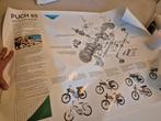 Grote Puch voor fans reprint Puch 65 poster, Ophalen of Verzenden, Overige modellen