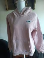 Roze Sam Friday Hoodie - Maat M, Kleding | Dames, Maat 38/40 (M), Sam Friday, Ophalen of Verzenden, Zo goed als nieuw