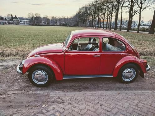 Gala auto oldtimer kever verhuur met chauffeur, Auto diversen, Overige Auto diversen, Ophalen of Verzenden
