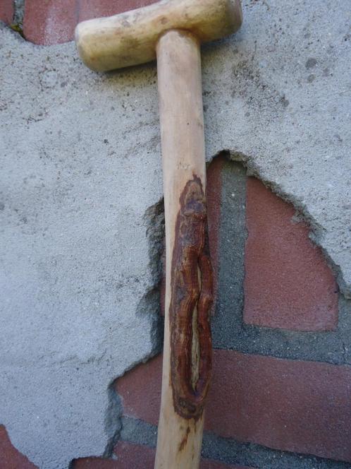 WANDELSTOK - handstok - G.O.A. leun stok - NIEUW - ( 21 ), Diversen, Wandelstokken, Nieuw, Ophalen of Verzenden