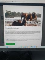 Dierentuin tickets voor 4 personen Safaripark Beekse Bergen, Twee personen