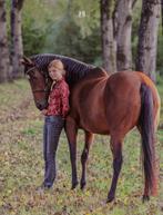 Bijrijder/Verzorger aangeboden – Lelystad/Dronten, Dieren en Toebehoren, Paarden en Pony's | Overige Paardenspullen, Ophalen, Nieuw