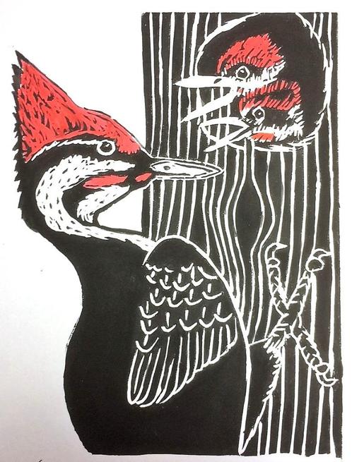 Linodruk van een specht met jongen (kleuren), Antiek en Kunst, Kunst | Litho's en Zeefdrukken, Ophalen of Verzenden