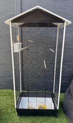Vogelkooi, Dieren en Toebehoren, Vogels | Hokken en Kooien, Ophalen, Gebruikt, Metaal, Vogelkooi