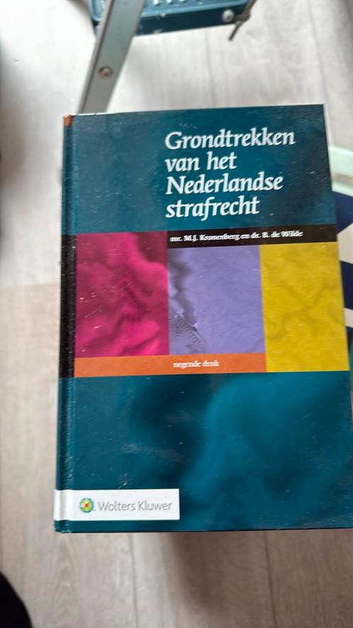 Grondtrekken van het Nederlandse strafrecht, Boeken, Wetenschap, Zo goed als nieuw, Ophalen