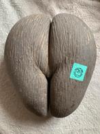 Coco de Mer met certificaat, Ophalen