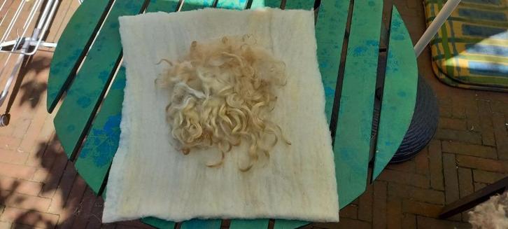 gevilte gekaarde Texelaar wol + middenstukje Racka, Hobby en Vrije tijd, Vilt, Nieuw, Versiering, Wolvilt, Verzenden