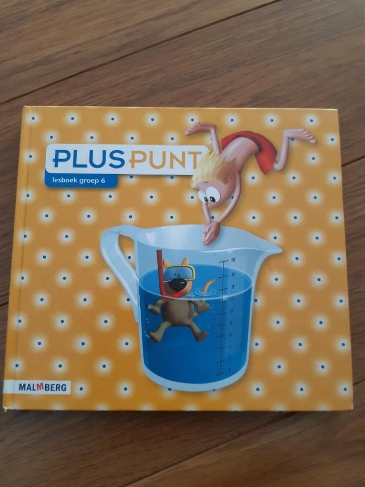 Pluspunt groep 6 Malmberg, Boeken, Schoolboeken, Zo goed als nieuw, Overige vakken, Overige niveaus, Ophalen of Verzenden
