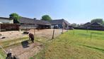 Th, Schuilstal met Weidegang voor Shetlanders., Dieren en Toebehoren, Stalling en Weidegang, Weidegang