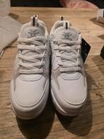 CHSSIH Roller Skate Shoes / rolschaatsen 42 - NIEUW, Overige merken, Nieuw, Ophalen of Verzenden, Inline skates 4 wielen