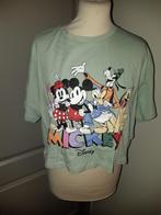 Disney c&a t-shirt maat M, Kleding | Dames, Ophalen of Verzenden, Nieuw, Korte mouw