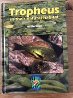 Tropheus in their natural habitat (Engels), Boeken, Vissen, Ad Konings, Ophalen, Gelezen