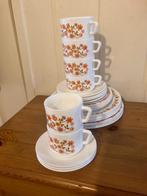 Vintage Arcopal Scania kop- en schotels en 3 maten borden, Ophalen of Verzenden, Zo goed als nieuw, Porselein, Compleet servies