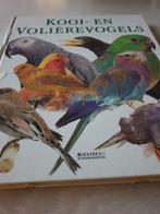 Kooi en voliere vogels, Dieren en Toebehoren, Vogels | Parkieten en Papegaaien, Meerdere dieren, Parkiet