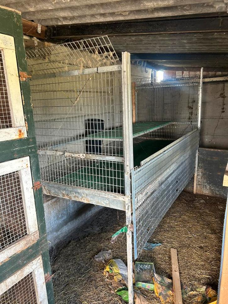 Grote stevige dierenkooij, Dieren en Toebehoren, Vogels | Hokken en Kooien, Zo goed als nieuw, Volière, Hout, Ophalen of Verzenden