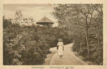 (701-237-043) Scheveningen Scheveningsche Boschjes beschikbaar voor biedingen