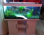 Lege Juwel Rio aquarium met LED, buiten filter en toebehoren, Ophalen, Gebruikt, Leeg aquarium