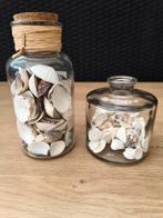 Schelpen in pot ter decoratie, Huis en Inrichting, Ophalen of Verzenden, Zo goed als nieuw