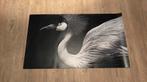 Kookplaat beschermer 90 * 52 cm, Ophalen of Verzenden, Gebruikt