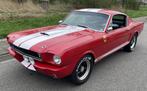 Ford MUSTANG Fastback GT350 Tribute, Gebruikt, 8 cilinders, 4 stoelen, Handgeschakeld