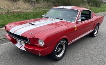 Ford MUSTANG Fastback GT350 Tribute beschikbaar voor biedingen
