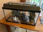 Aquariums met toebehoren, Dieren en Toebehoren, Vissen | Aquaria en Toebehoren, Ophalen, Gebruikt, Leeg aquarium