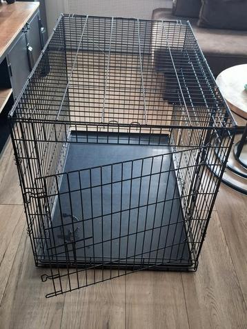 Honden bench beschikbaar voor biedingen