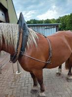 Haam   " spitsen kummet"  paardentuig, Dieren en Toebehoren, Paarden en Pony's | Hoofdstellen en Tuigage, Ophalen of Verzenden