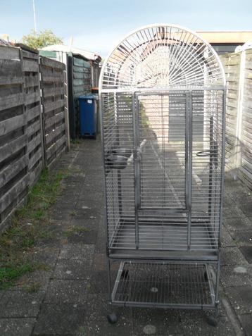 kooien en veel vogelspullen beschikbaar voor biedingen