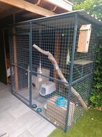 Luxe Kattenren / buitenverblijf /kattenkooi 2x2x1 meter, Dieren en Toebehoren, Katten-accessoires, Ophalen, Zo goed als nieuw