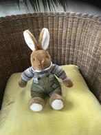 Lief knuffelkonijn, Ophalen of Verzenden, Zo goed als nieuw, Overige typen