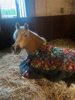 Stal vrij, Dieren en Toebehoren, Ophalen of Verzenden, Zo goed als nieuw