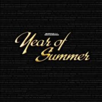 Wildstylez - Year Of Summer - RSD - Record Store Day (NIEUW) beschikbaar voor biedingen