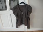 mooi grijs vest met pofmouw maat 38/40 merk anna scott, Kleding | Dames, Ophalen of Verzenden, Zo goed als nieuw, Maat 38/40 (M)
