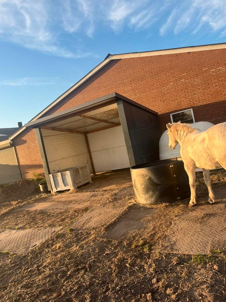 Aangeboden leuke 24/7 buitenplekje voor een pony, Dieren en Toebehoren, Stalling en Weidegang