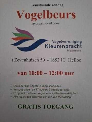 nu thuis  beschikbaar voor biedingen