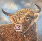 Schotse hooglander, Nieuw, Ophalen of Verzenden, Schilderij, 50 tot 75 cm
