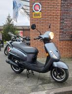 Sym Fiddle 2 Snorscooter - 2019 - 8904 km, Ophalen, Gebruikt, Sym, SYM