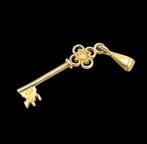 14 karaats gouden geluks Sleutel ketting Hanger, Overige voorstellingen, Verzenden, ., Zo goed als nieuw