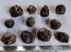 Almandine granaat India, Ophalen of Verzenden, Mineraal
