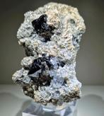 Perfecte zeldzame Cassiteriet met Aquamarijn op Muscoviet, Ophalen of Verzenden, Mineraal