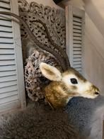 Mooie springbok kop faux fur., Huis en Inrichting, Woonaccessoires | Wanddecoraties, Ophalen, Zo goed als nieuw