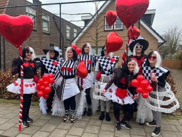 Loopgroep Carnaval Kostuums beschikbaar voor biedingen