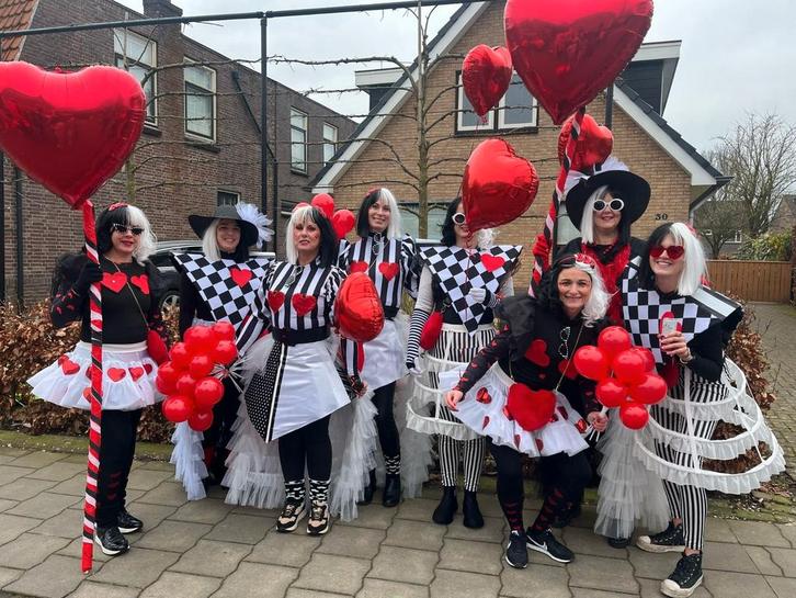 Loopgroep Carnaval Kostuums, Kleding | Dames, Carnavalskleding en Feestkleding, Gedragen, Kleding, Carnaval, Maat 38/40 (M), Ophalen