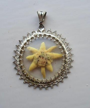 Hanger met echte edelweiss. Zilverkleurig met mooie sierrand beschikbaar voor biedingen